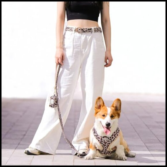 Fashion Waist Belt with Gold Buckle, Polyester Material, Adjustable Fit main image 6